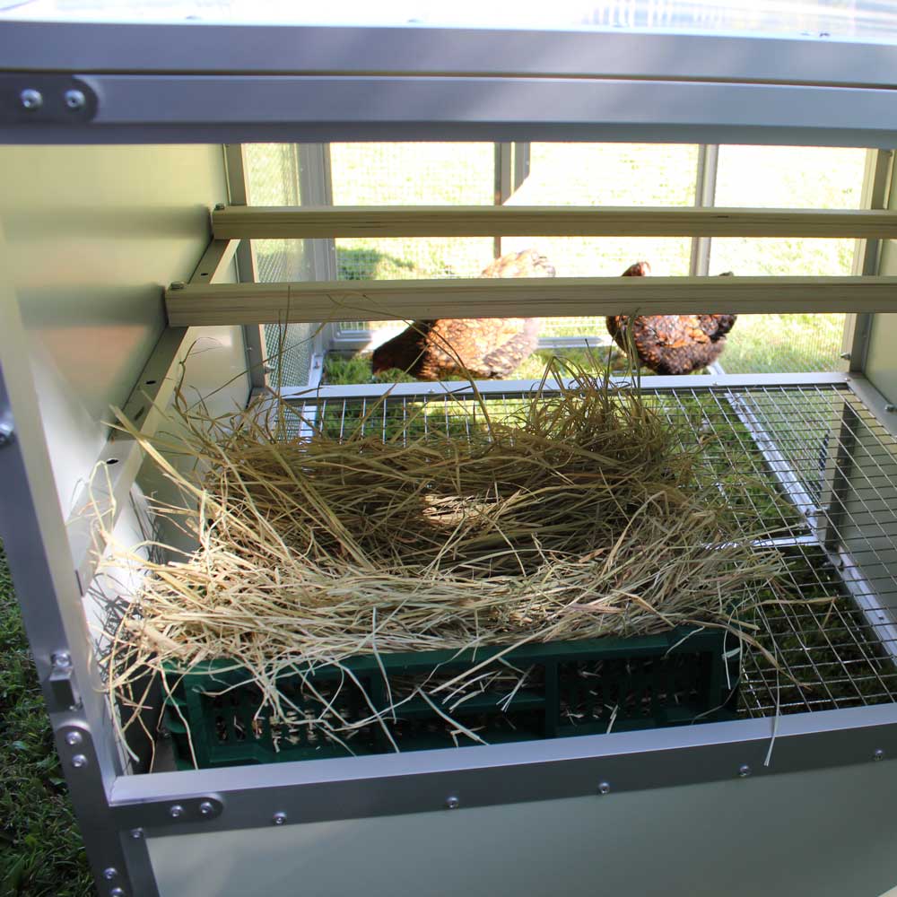 Nested Collapsible Collapsible Nesting Box – Aussie Chicken Coops